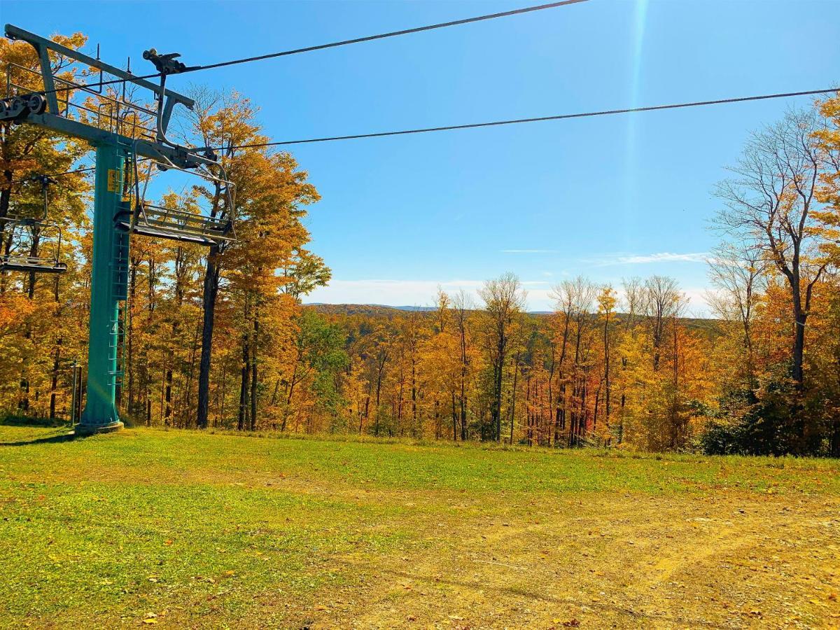 Maples Retreat - 2 Acres - Fireplace Ellicottville Eksteriør billede
